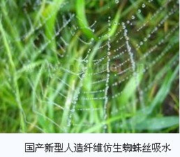 中国造新型人造纤维仿生蜘蛛丝吸水